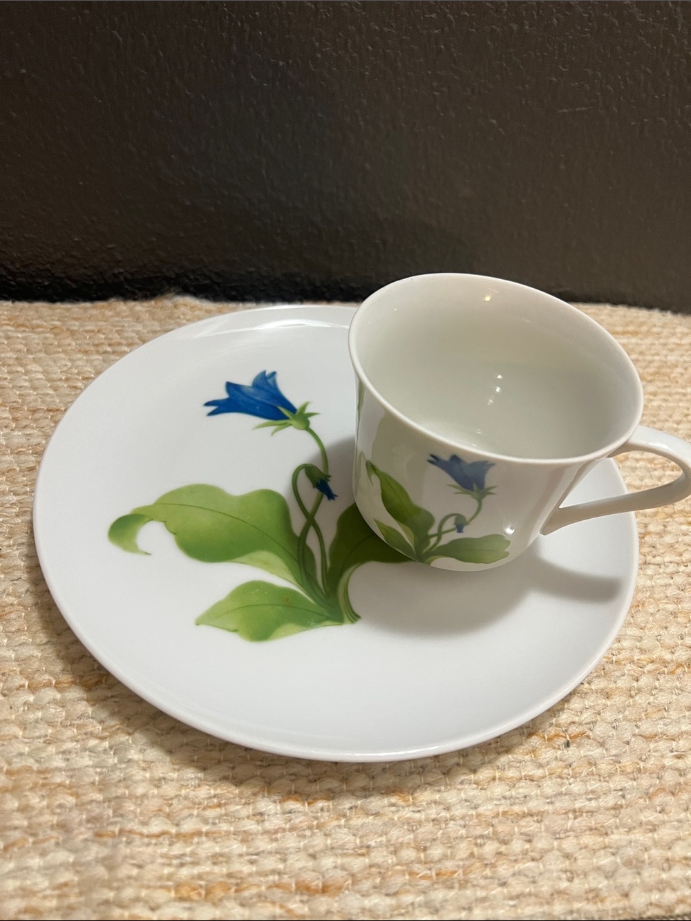 Tuileries Fine China Blue Floral Luncheon Set White and Green Toscany